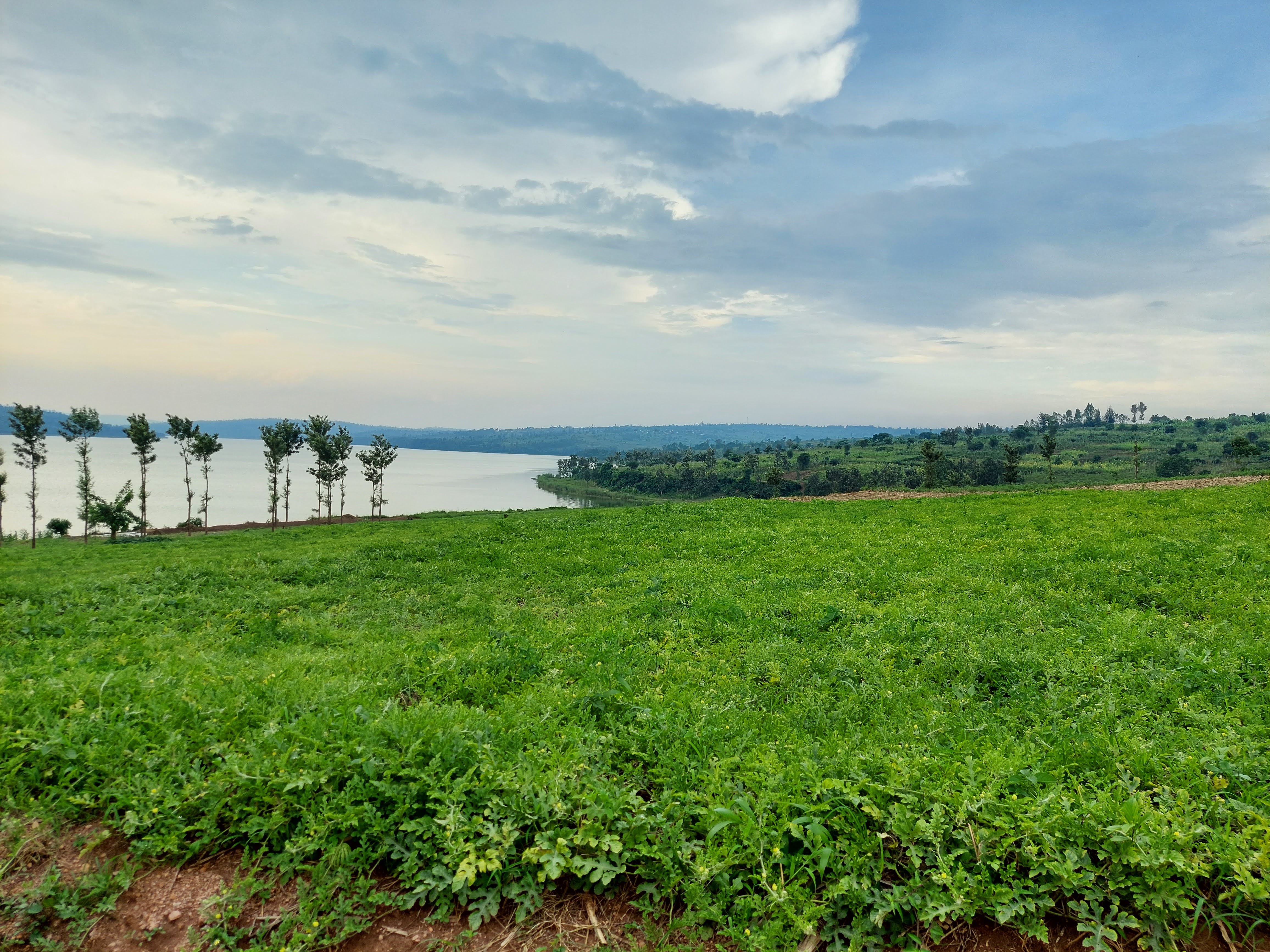How to Travel Responsibly in Rwanda: A Local's Guide to Doing It Right