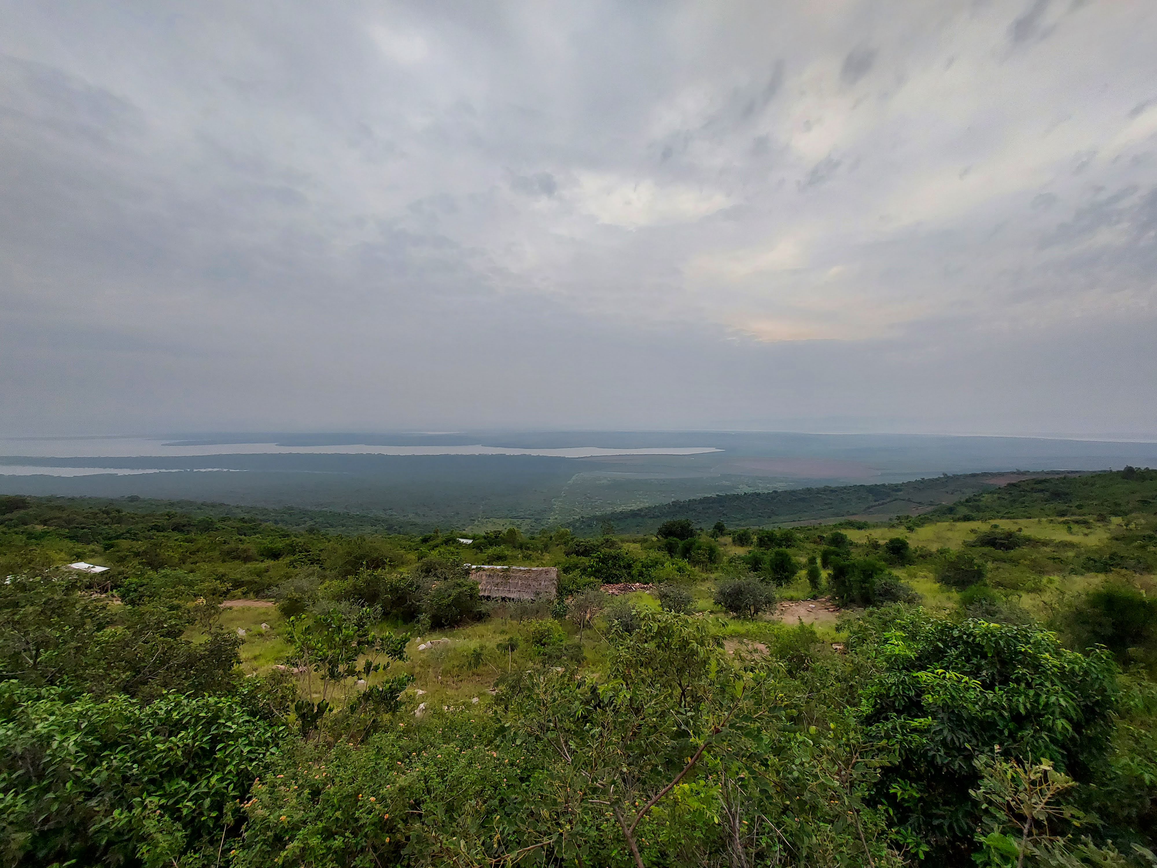 Rwanda Travel Guide: Experience the Rhythm of the Land of a Thousand Hills