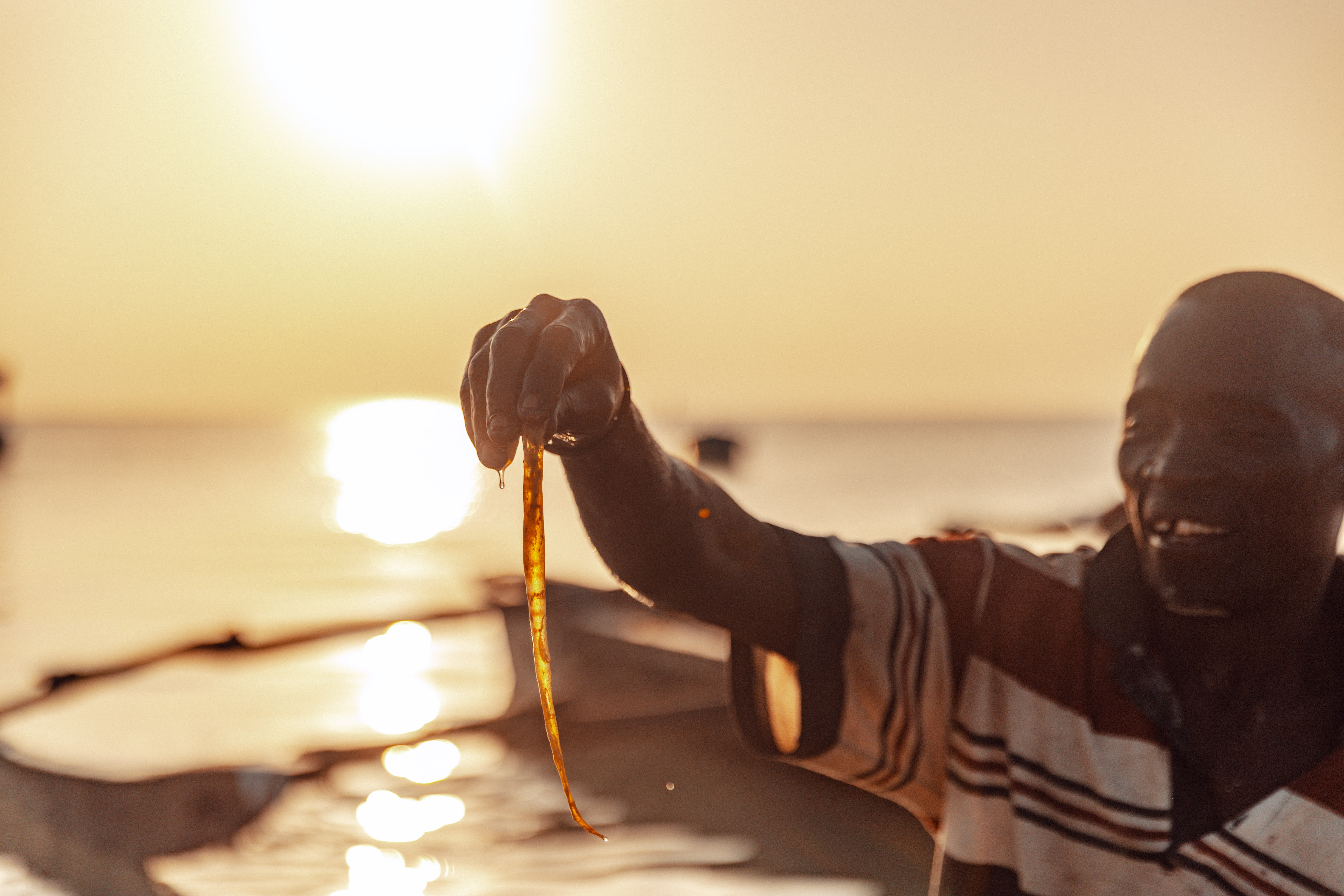 Digital Nomad Guide to Diani: Co-working, Internet, and Long-Term Stays