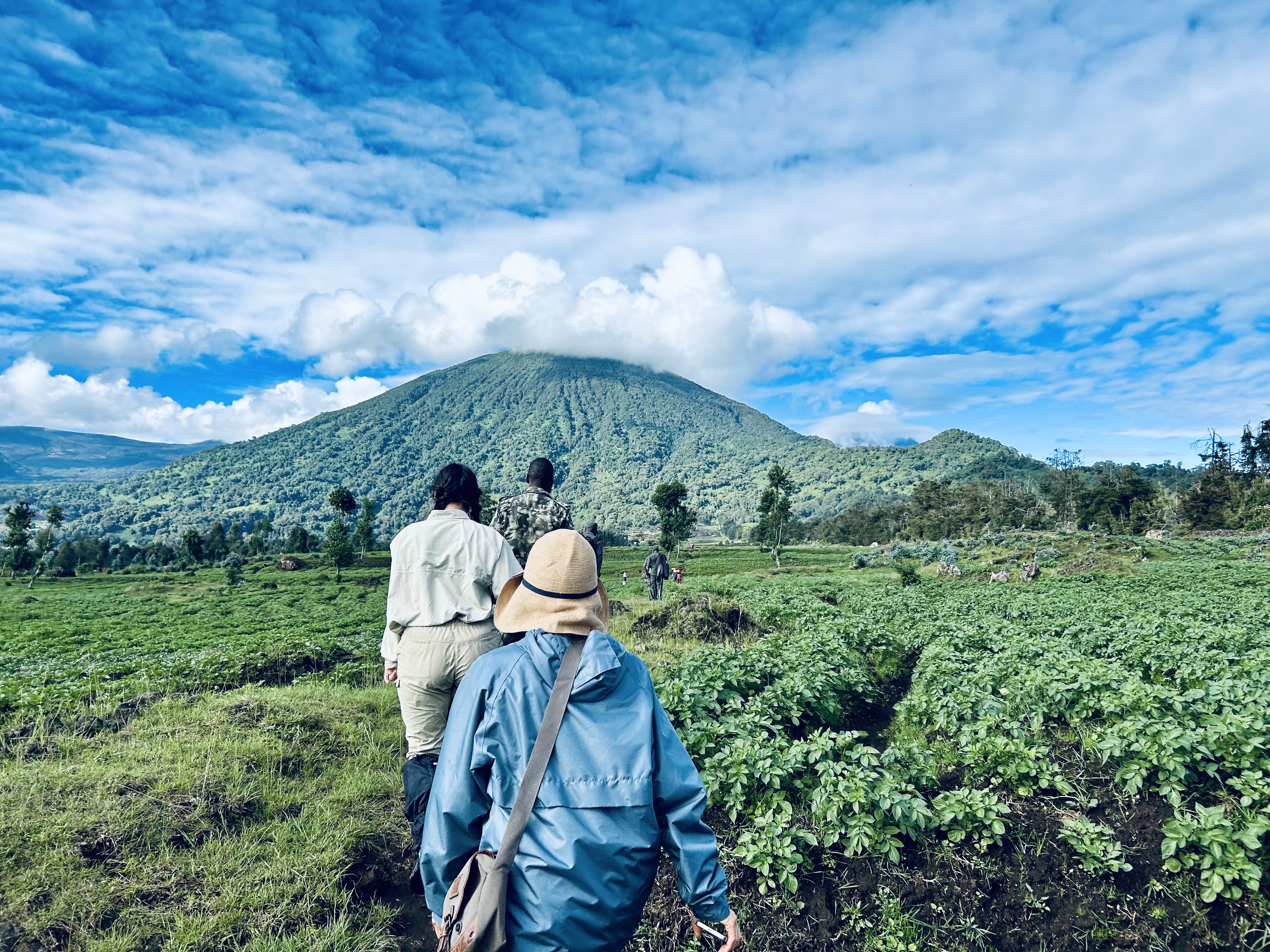 Gorilla Trekking in Rwanda