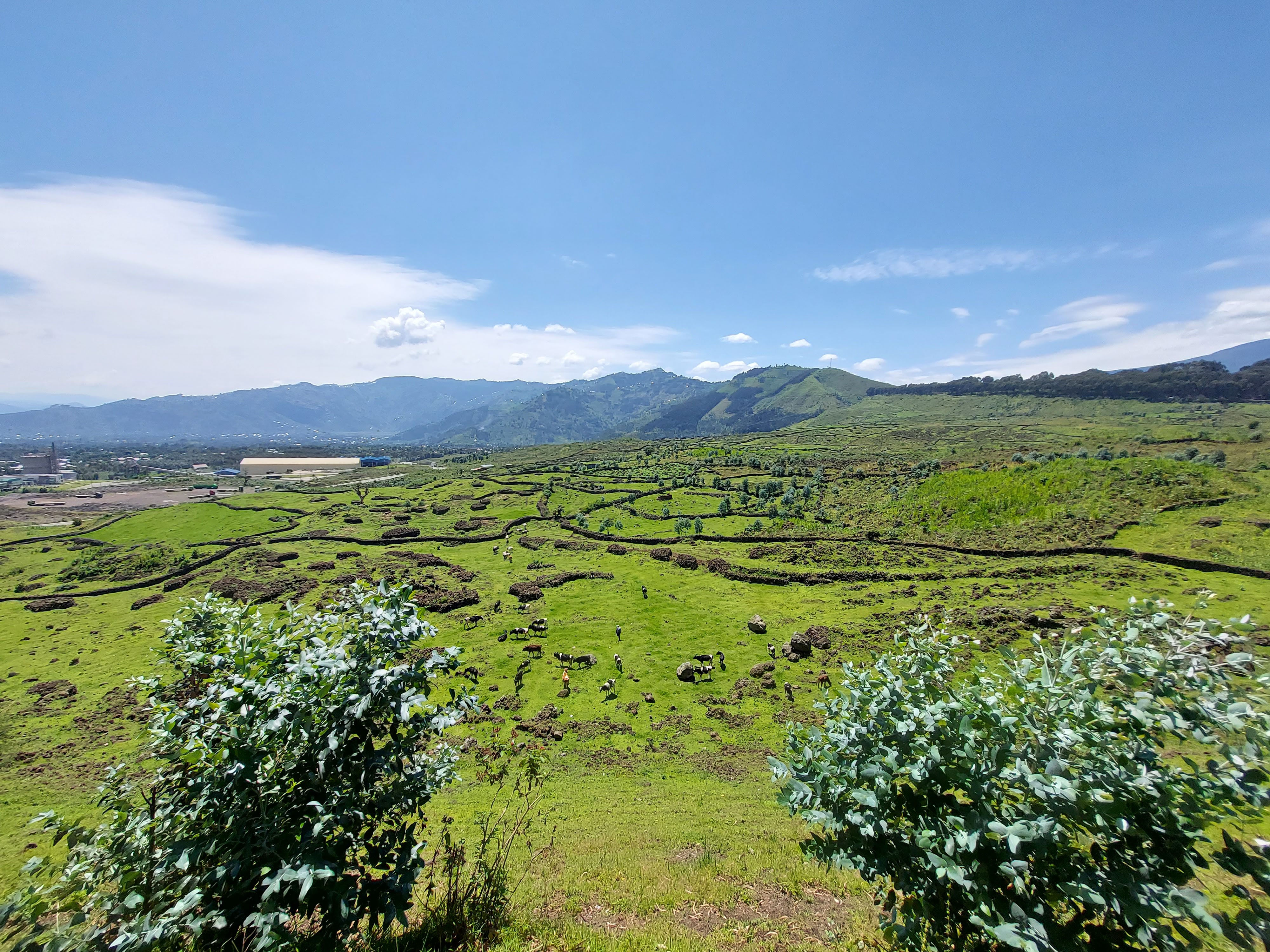 Rwanda Travel Guide: Experience the Rhythm of the Land of a Thousand Hills